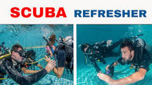 Image result for where to take a scuba diving refresher course