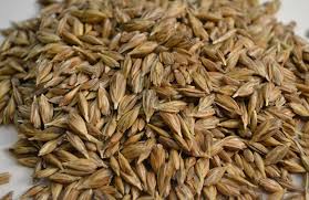 Per una consistenza gommosa, lascia cuocere il farro secco per 30 minuti. Come Si Cucina Il Farro Cure Naturali It