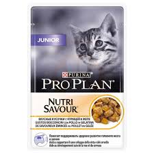 Pro Plan Pouch Junior Tavuklu Yas Kedi Mamasi 85 Gr Kedi Yas Mamalari Pro Plan