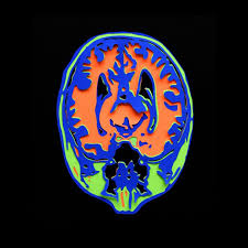 Artist Name Werllen Castro Tumblr Werls Tumblr Com Editorial Design Portfolio Werl Com Br Artist Names Portfolio Design Artist