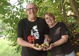 Pawpaws grow best in moist bottomland, and well drained areas that are sunny or partly shaded. Forgotten Fruit Fest Celebrates The Pawpaw Pittsburgh Post Gazette