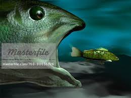 Big Fish Eating Little Fish - Stock Photo - Masterfile - Rights-Managed,  Artist: Rick Fischer, Code: 700-00035326