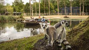 Thank you for your positive review, gert! Ontdek Dierenpark Amersfoort De Dierentuin Voor Kinderen
