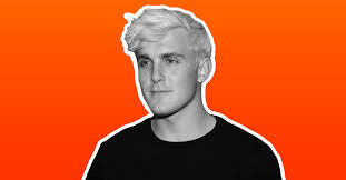Jake paul is going to fight for his right to party amid a pandemici personally am not the type of person who's gonna sit around and not live my life. Shane Dawson S Jake Paul Documentary Shows The Price Of Giving People What They Want Wired