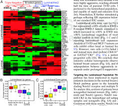 Clip 1 it was my very first job in journalism when i started for a newspaper group in scotland, and i thought i was going to be rushing round doing all sorts or. Despite Their Luminal Derivation Luminobasal Rich Ewd 8 Cells Cluster Download Scientific Diagram