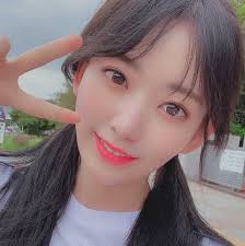 Entdecke bei tiktok kurze videos zum thema sakura miyawaki. Icons Fluff Miyawaki Sakura Icons Like