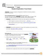 Which organisms are consumers in this food chain? Food Chain Gizmos Docx Name Date Student Exploration Food Chain Vocabulary Consumer Ecosystem Energy Pyramid Equilibrium Food Chain Population Course Hero