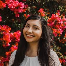 🕊️🍸Last night, Peace Direct hosted our first ever spring fundraiser, The  Olive Branch!