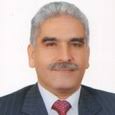 Amr Assal currently working as Civil Supervisor at TECNICAS REUNIDAS FOR  SERVIES & CONTRACTING CO. LTD in Egypt