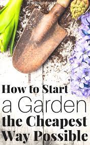 How to start a cheap garden. How To Start A Garden On A Budget Starting A Garden Gardening For Beginners Organic Gardening Tips