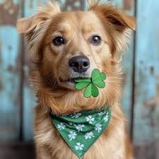 Brown Watercolor Dog unbeatable Letter