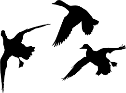 Set of animals logo design concept. Cupped Duck Decals Shefalitayal