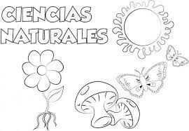 Técnicas originales para decorar con pintura. Caratulas Para Pintar De Ciencias Naturales Novocom Top