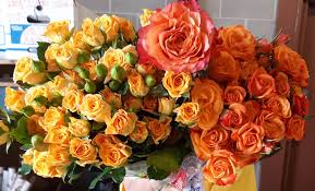 Wholesale flowers, plants and decorative articles. Bonnie Brae Flowers Inc Home Facebook