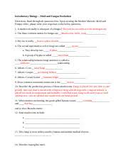 I've been recording some of the modern marvels for use in our ag program. Mold And Fungi Lab Docx Introductory Biology Mold And Fungus Worksheet Directions Read Through All Questions First Upon Viewing The Modern Marvels Course Hero