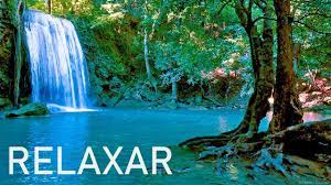 6 hour relaxing piano music: Musica Relaxante 24 7 Sinta Se Em Paz Relaxar E Dormir 4çš„youtubeè§†é¢'æ•ˆæžœåˆ†æžæŠ¥å'Š Noxinfluencer