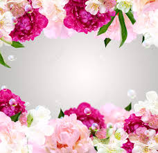 All your questions answered below or you can jump straight to the. Card With Peony White Flowers And Bubbles Stock Photo Picture And Royalty Free Image Image 14123031