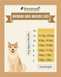 Average weight cat best cat cute pictures meme cartoon images. Puppy Growth Chart By Month Breed Size Puppy Growth Chart Growth Chart Puppy Adoption