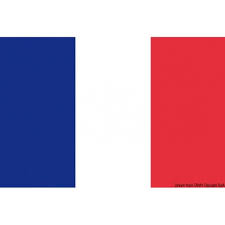 Inviaci la tua richiesta per avere maggiori informazioni sul prodotto o per un preventivo personalizzato. Bandiera Francia 30 X 45 Cm Clicson Risparmia A Suon Di Clic
