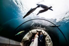 31 hausangebote in erkelenz haus hohenbusch gefunden und weitere 34 im umkreis. Hochzeit Ryokan Zoom Heiraten Haus Hohenstein