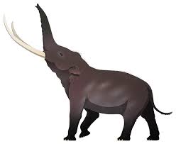 Elephant is an unincorporated community in bedminster township, bucks county, pennsylvania, united states, on the se side of lake nockamixon. Pleistocene Extinction Nix Illustration
