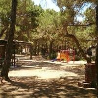 Maybe you would like to learn more about one of these? Manavgat Mesire Alani Palatochnyj Letnij Lager V Antalya