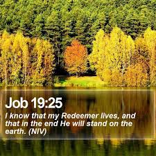 Daily Bible Verse - Job 19:25 | Job 19:25 I know that my Red… | Flickr