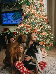 Gardening supplies, fertilizer, shrubs, grasses, herbs, seasonal stock, flowers of all varieties, gardening and lawn. Christmas Decorating With O Toole S Garden Centers That Boujee Bohemian Lifestyle Blog