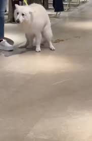 Posts with replies by mjou (@mjoucruz)  X