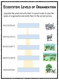 Ecosystem Worksheets Biotic Abiotic Lesson Resources Abiotic Ecosystems Worksheets