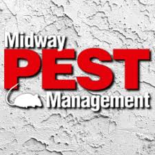 Kansas city metro pest control and rodent control company serving overland park, olathe, lenexa, leawood, prairie village, shawnee, mission, fairway, bonner springs, desoto, raytown, belton, grandview, and the entire metro. Midway Pest Management Llc Pest Control Service Overland Park Kansas Facebook 354 Photos