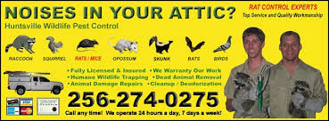 Our professional wisconsin exterminators have the experience, skills. Huntsville Wildlife Pest Control Home Facebook