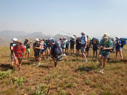 Image result for Uapaca sansibarica