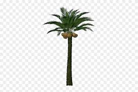Your coconut tree stock images are ready. 3d Coconut Tree Png Download Palm Tree Fruit 3d Clipart 791493 Pinclipart
