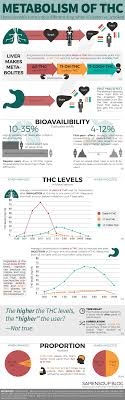 Human Metabolism Of Thc Sapiensoup Blog