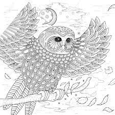 They have very good hearing and fly silently. Lovely Owl Coloring Page Design In Exquisite Style Royalty Free Cliparts Vectors And Stock Illustration Image 46943615