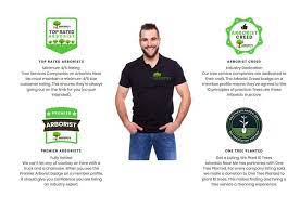 Search Affordable Tree Service Near You Tree Service Tree Company Tree