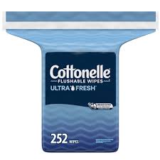 Equate Flushable Wipes (3) 48Ct Packs With 48Ct Pop-Up Refillable Dispenser  (Combination 192 Wipes Total) : Amazon.Sg: Health, Household And Personal  Care