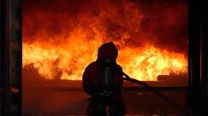 We're very lucky in kelowna. Beautiful Forest Fire Flames Stock Footage Video 100 Royalty Free 30896617 Shutterstock