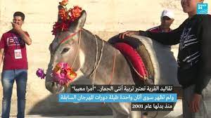 مهرجان أجمل حمار بالمغرب ينصف الأتان للمرة الأولى!
