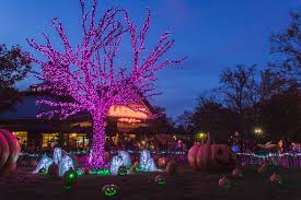 Boo Nights At The Saint Louis Zoo Clayton Times