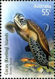 Green Turtle Chelonia Mydas Stamp Postage Stamp Art Postage Stamps