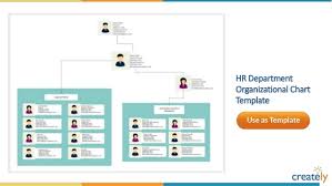 Organizational Chart Templates By Creately