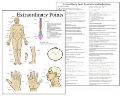 extraordinary acupuncture points chart clinical charts and