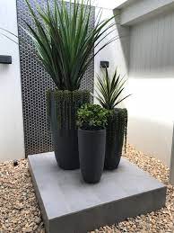 Square planters, especially, make a contemporary statement and play well with linear outdoor furniture, like a chaise. 0 A Mix Of Large Succulents In Pots Potted Plants Outdoor Outdoor Pots Succulents In Pots