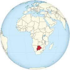 Image result for Megaloprotachne albescens