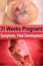 Pin On Pregnancy