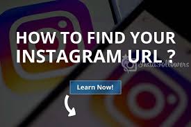 Free instagram giveaway picker url. How To Find Your Instagram Url 2021 Instafollowers