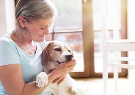Private or individual cremation with ashes returned. In Home Pet Euthanasia In Fort Lee Nj Homeheart Veterinary End Of Life Care