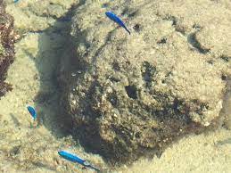 リピーターだけが知る 沖縄本島の穴場ビーチ10選 沖縄 沖縄 穴場 沖縄 ビーチ